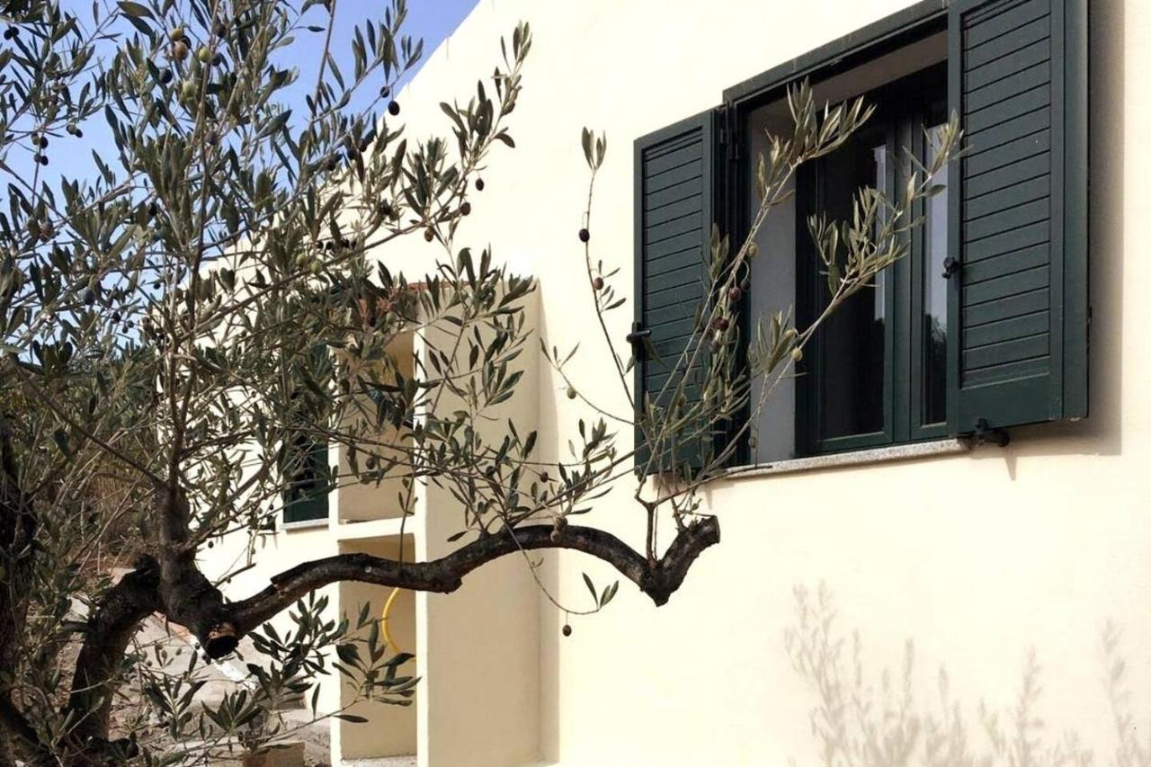 Villa Ulivella Schifoni Exterior photo